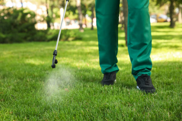 Best Pest Prevention Services  in Rineyville, KY