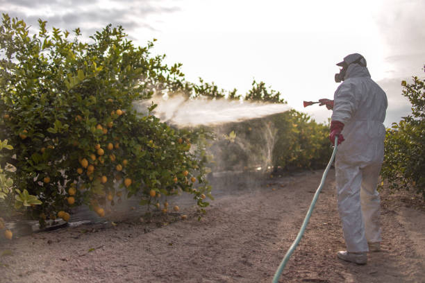 Best Pest Control Near Me  in Rineyville, KY