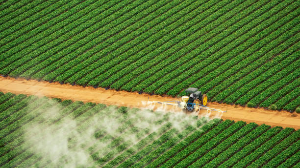 Best Mosquito Control Services  in Rineyville, KY