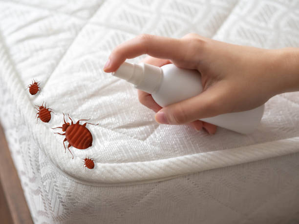 Best Best Pest Control Companies  in Rineyville, KY