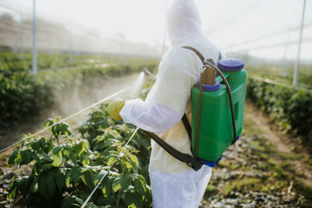 Best Residential Pest Control  in Rineyville, KY